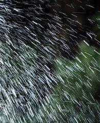 Sticker - Rain water splashes as abstract background. Texture