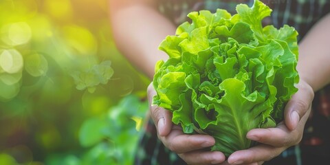 Farmer holding lettuce leaves in hands close-up with copyspace on blurred natural background