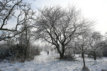 Poster - Winter bei Urberach