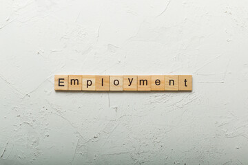 Wall Mural - employment word text