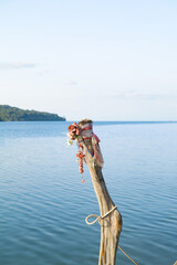 Thailand's belief in logs by tying colorful cloth for worship.