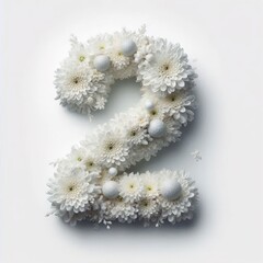 White chrysanthemum-colored number se