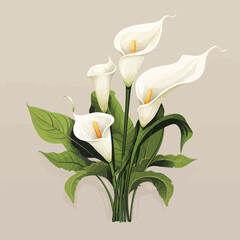 Wall Mural - Calla lily flowers