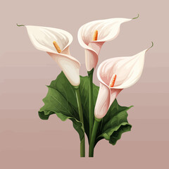 Wall Mural - Calla lily flowers