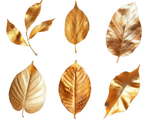 Golden Leaves Collection