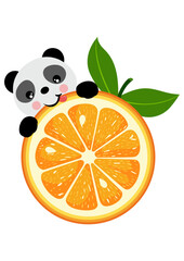 Poster - Cute panda eating orange slice