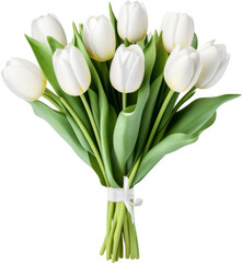 Wall Mural - white tulip flower bouquet isolated on white or transparent background,transparency 