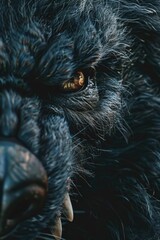 Poster - Close-up shot of a black dog's face with a calm expression