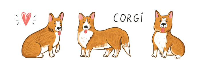 Canvas Print - Corgi dog vector illustrations set.