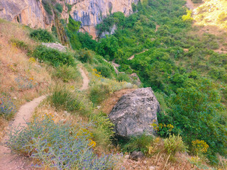 Wall Mural - Hillside in nature