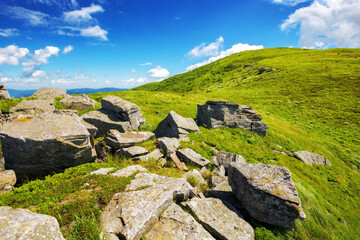 Wall Mural - stones and boulders on the grassy alpine hills and meadows. carpathian mountain landscape of ukraine in summer on bright sunny day. transcarpathia region mountainous scenery. smooth polonyna in summer