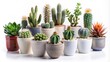 © DigitalArt Max - Diverse assortment of small, ornate cacti and succulents arranged artfully in sleek, modern ceramic vases, isolated on transparent background, exuding nordic chic.