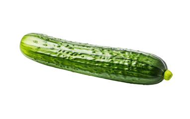 Fresh Organic Green Cucumber isolated on transparent background