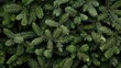 © lililia - A close-up image of a pine trees branches, showcasing the vibrant green needles and intricate details SEAMLESS PATTERN