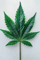 Poster - Photorealistic image of a marijuana leaf with oil extract, detailed and vibrant, on a white background,