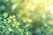 © Ahmed - Green Bokeh Lights and Shamrocks: St Patricks Day Background