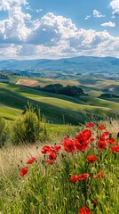 Wall Mural - a beautiful summer landscape featuring green hills with poppies and cypress trees, under a blue sky with clouds.