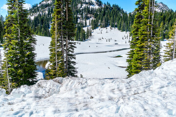 Canvas Print - Chinook Pass Snowy Stream 4