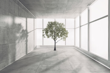 Poster - Alone Green Tree in Empty Office Room. 3d Rendering