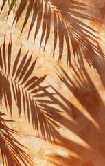 Poster - A leafy palm tree casts a shadow on a wall