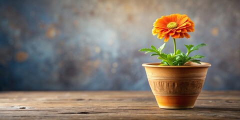 Wall Mural - Orange flower blooming in a decorative pot , floral, plant, botanical, vibrant, fresh, growing, nature, potted