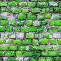 Canvas Print -  Green Paint and Plant