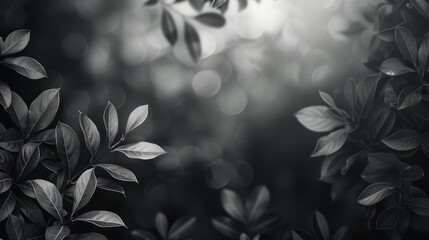 Wall Mural - blurred foliage background with light and dark monochrome hues