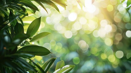Wall Mural - green foliage on blurred background with sunlight and room for text product presentation mock up hig