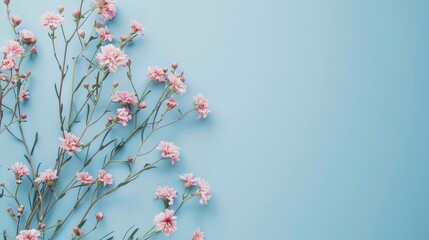 Wall Mural - Beautiful flowers on blue background for card or invitation Top view with space for text