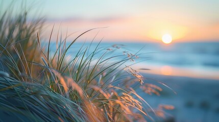 Wall Mural - Blurred beach grass blowing in the wind at sunset with ocean in background Summer nature concept