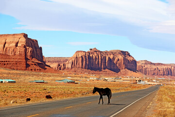 Poster - Horse crossing the road in Monument Valley, Utah