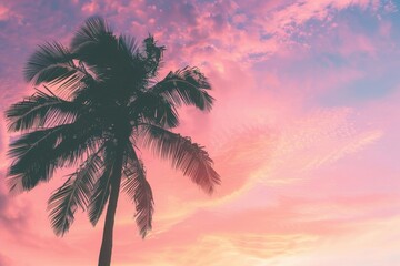 Wall Mural - a vibrant pink and orange sunset sky with the silhouette of an palm tree, creating a dreamy tropical