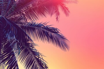 Wall Mural - Palm tree against sunset sky background with copy space Pink and orange color theme Palm trees against pink and orange sky background with copy space Generative AI
