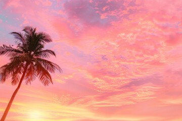 Wall Mural - a vibrant pink and orange sunset sky with a palm tree silhouette, evoking the warmth of summer night