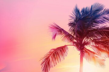 Wall Mural - beautiful palm tree against the background of a sunset sky with copy space for text, depicting a sum