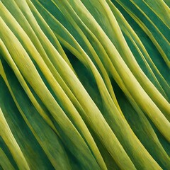Wall Mural - Grass plant nature spring leaf summer field lawn. Isolated growth close-up fresh macro garden meadow green bright abstract.
