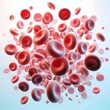 © Роман Соловьев - Red blood cells flowing. Erythrocytes isolated