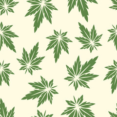 Wall Mural - Vector Seamless Pattern with Flat Cannabis Leaves. Hemp, Cannabis Green Leaf on White Background. Seamless Print with Medical Marijuana. Vector Illustration