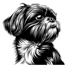 A black and white drawing of a shih tzu dog