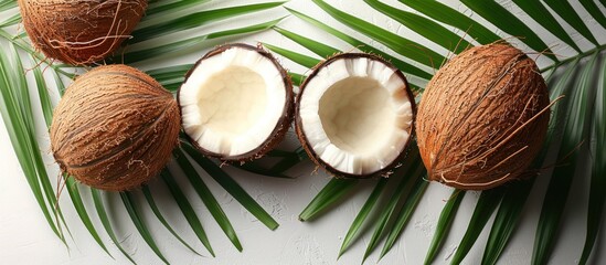Coconut and Palm Leaves on White Background