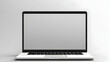 © Visual Aurora - Modern laptop with a pristine mockup white screen
