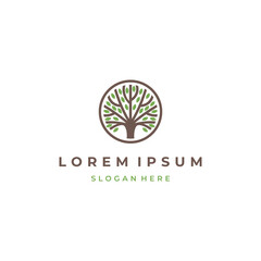 Wall Mural - Circle tree logo icon template design. Round garden plant natural line symbol. Green branch template