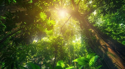 Sunlight filters through the lush green canopy of a dense tropical rainforest, creating a vibrant and serene atmosphere.