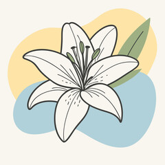 Wall Mural - vector illustration of lily