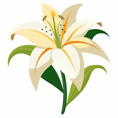 Canvas Print - vector illustration of lily