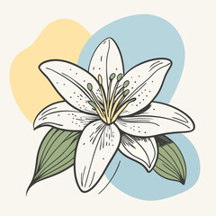 Poster - vector illustration of lily