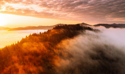 Wall Mural - A magical thick fog envelops the mountain peak. Carpathian mountains, Ukraine.