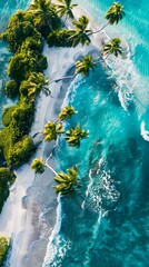 Wall Mural - Aerial view of a tropical island with palm trees.