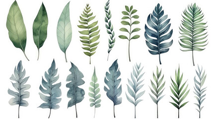Watercolor painting leaf illustration collection set - many different fern leaves, isolated on white background, Generative AI
