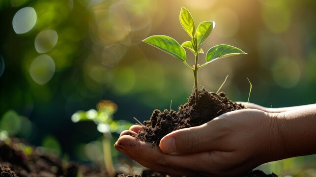 Inspire others with your words and deeds, for it is through lifting others up that we truly elevate ourselves.
